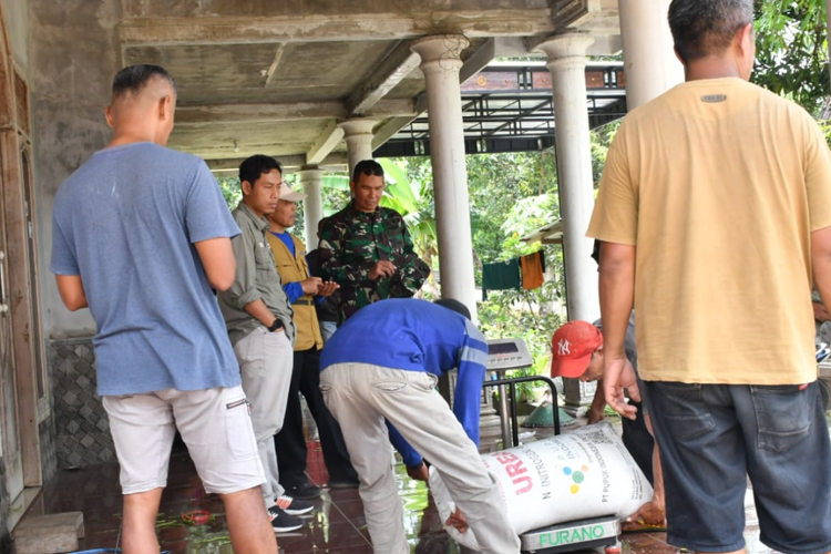 Bangun ketahanan pangan, Dandim Ponorogo Letkol Inf Dwi Soerjono turun langsung meninjau kegiatan petani dan peternak sapi. (Foto: Humas Kodim Ponorogo)