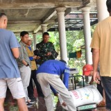 Bangun Ketahanan Pangan, Dandim Ponorogo Tinjau Petani dan Peternak Sapi