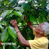 Dari Dampit Malang, Ini Pewaris Pelopor Lingkungan hingga Sumber Air Kehidupan