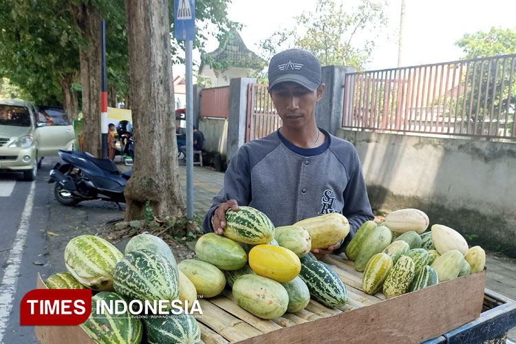 Tips Jitu Memilih Buah Krai untuk Buka Puasa Ala Pedagang Banyuwangi