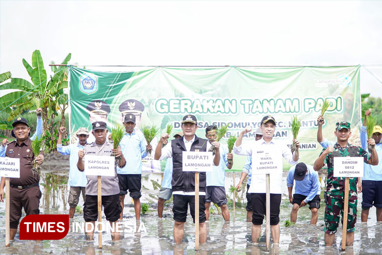 Pemkab Lamongan Gencarkan Musim Tanam Kedua dan Panen Raya