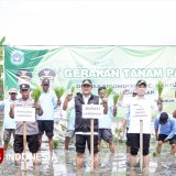 Pemkab Lamongan Gencarkan Musim Tanam Kedua dan Panen Raya