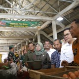 Lebaran, Harga Cabai Merah  di Bantul Tembus Rp80 Ribu per Kilo