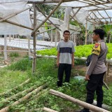 Polresta Banyuwangi Optimalkan Pertanian dari Lahan Kebun hingga Pekarangan