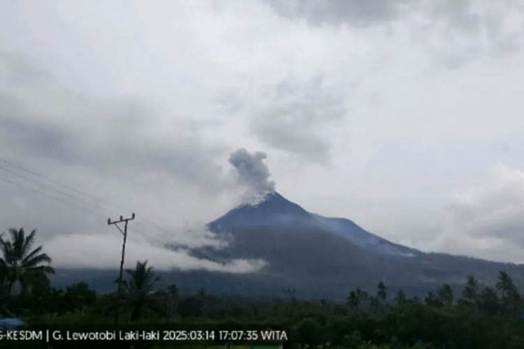 Gunung Lewotobi Laki-Laki di Kabupaten Flores Timur (Flotim),NTT, erupsi dengan tinggi kolom abu teramati kurang lebih 600 meter di atas puncak atau kurang lebih 2.184 meter di atas permukaan laut pada Jumat (14/3/2025). (Foto: Antara/HO-PVMBG)