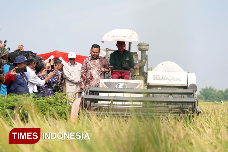 Panen-raya-Gresik.jpg