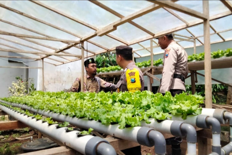 Dari Pekarangan Menuju Ketahanan Pangan Bersama Polsek Kalipuro Polresta Banyuwangi