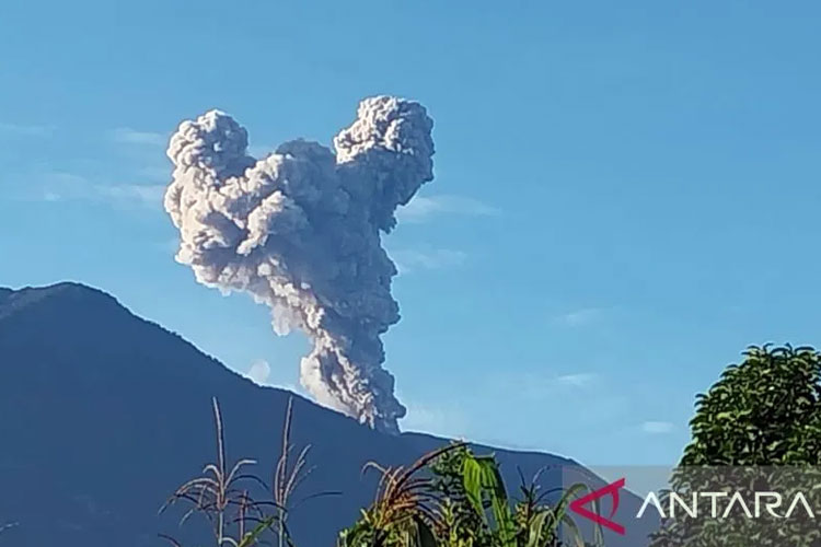 Gunung Marapi yang berada di Kabupaten Agam dan Kabupaten Tanah Datar, Sumatera Barat meletus pada Minggu pagi (16/3/2025). (Antara/HO-Istimewa)