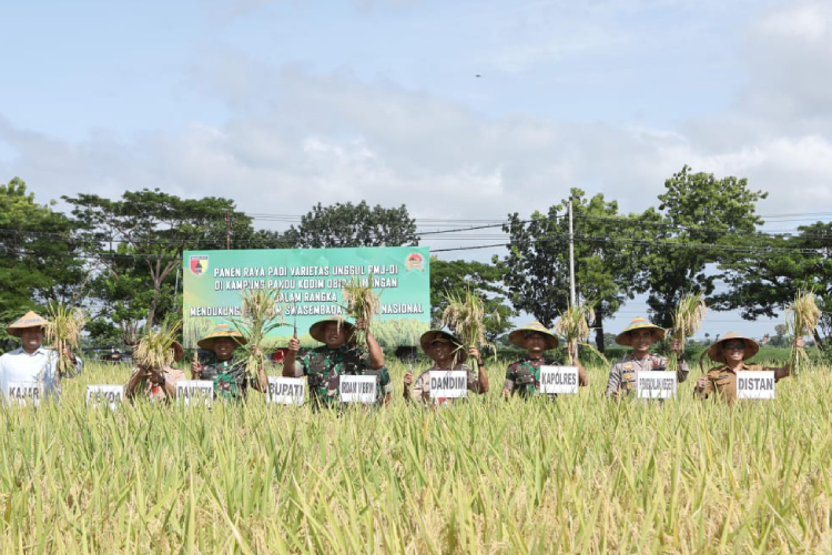 Brigjen Ramli Turun ke Sawah, Puas Lihat Panen Melimpah di Lamongan