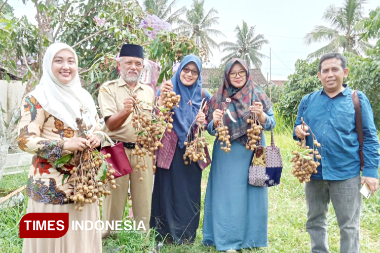 Kades Greges, Nasikhun bersama Tim PKM Inisnu, saat menunjukkan Kelengkeng Itoh. (Foto: Hermanto/ TIMES Indonesia)