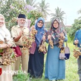 Kolaborasi INISNU Temanggung dan BUMDes, Dukung Desa Greges Menjadi Desa Agrowisata Andalan