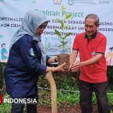 SMAN 2 Ngadirojo Pacitan Gagas Dekarbonisasi, Tanam Pohon Cengkeh untuk Masa Depan Hijau