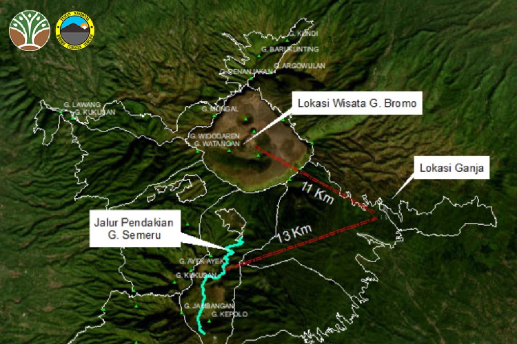 Temuan-ladang-ganja-di-kawasan-TNBTS-B.jpg