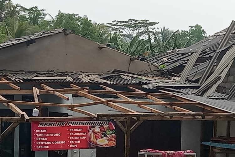 Angin Kencang Mengamuk di Malang Selatan, Pohon Tumbang dan Rusak Puluhan Rumah