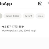 Awas, Marak Penipuan via WhatsApp Ngaku sebagai Kades di Pacitan