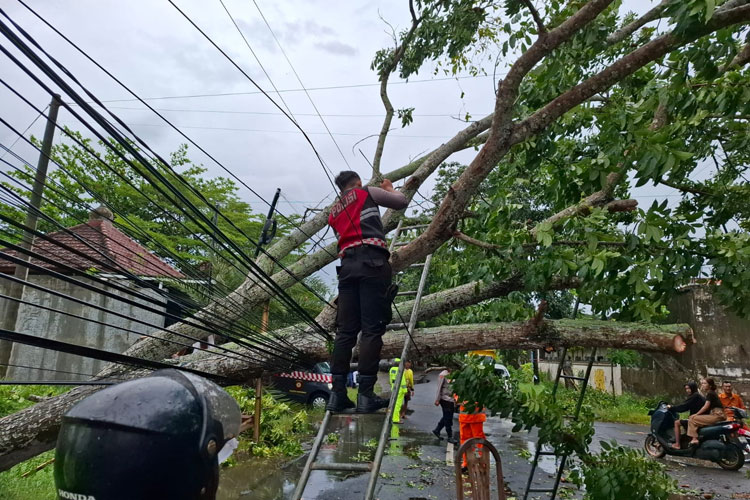 Warga Apresiasi Kerja Cepat  Polresta Banyuwangi Bersihkan Pohon Tumbang