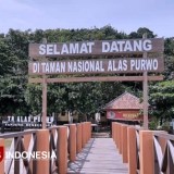 Cuaca Buruk, Taman Nasional Alas Purwo Tutup Hingga 26 Maret