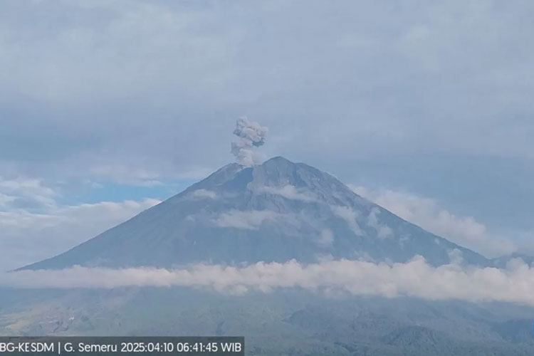 Gunung Semeru erupsi dengan letusan setinggi 700 meter di atas puncak pada Kamis (10/4/2025) pukul 06.40 WIB. (FOTO: ANTARA/HO-PVMBG)