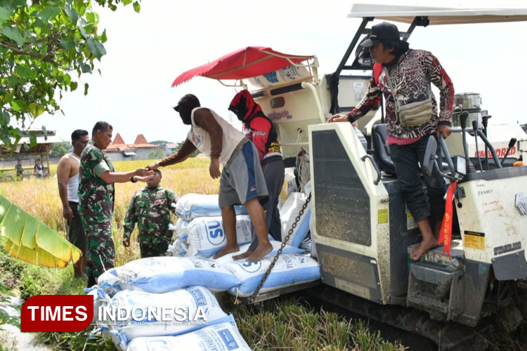 Dandim Ponorogo Letkol Inf Dwi Soerjono terjun langsung ke sawah melakukan pendampingan kepada petani. (Foto:Humas Kodim Ponorogo)