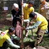 Kawasan Wisata Goa Selomangleng Kota Kediri Dipercantik Dengan Pohon Tabebuya