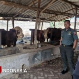 Dandim Mojokerto Tunjukkan Kepemimpinan Empatik Lewat Dukungan Usaha Prajurit