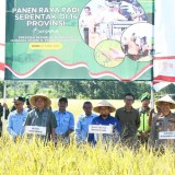 Bulog Bondowoso Ungkap Alasan Serapan Gabah Petani Masih Rendah