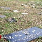 Warga Joyo Agung 2 Kota Malang Keluhkan Ratusan Makam Hewan di Komplek Perumahan