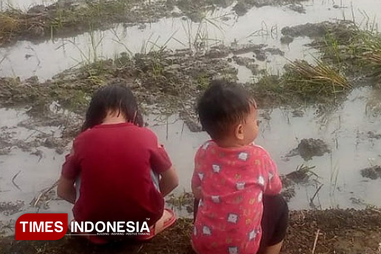 Area Persawahan, Sarana Edukasi Anak Murah dan Menyenangkan