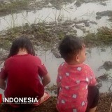 Area Persawahan, Sarana Edukasi Anak Murah dan Menyenangkan