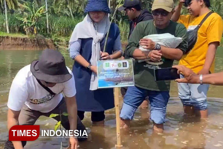 Tanam Mangrove, FISIP Unira Inisiasi Kampus Berdampak Lingkungan dan Emisi Karbon
