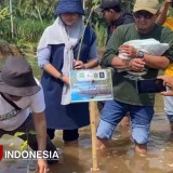 Tanam Mangrove, FISIP Unira Inisiasi Kampus Berdampak Lingkungan dan Emisi Karbon