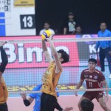 PLN Mobile Proliga 2025, Bhayangkara Susul LavAni Lolos ke Grand Final