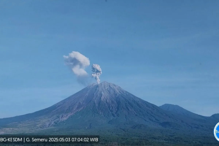 Gunung Semeru kembali erupsi pada Sabtu (3/5/2025) pukul 07.02 WIB (Foto: PVMBG)