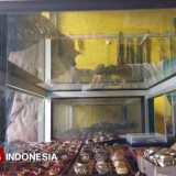 Bertahan di Tengah Sepi, Pedagang Akik Pacitan Tetap Semangat Meski Harga Anjlok