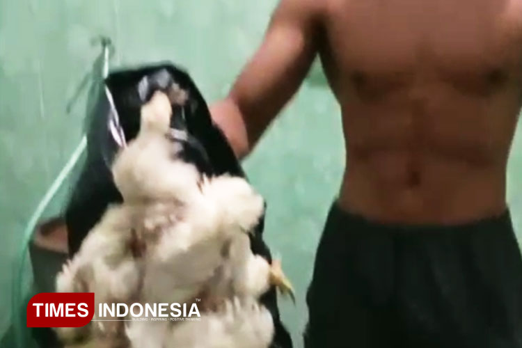 Miris, Atlet Porprov Kabupaten Malang Makan Ayam Tiren, Bagaimana Dana Puslat?