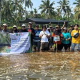 Implementasikan Program Kampus Berdampak, UNIRA Malang Gelar Aksi Tanam Mangrove