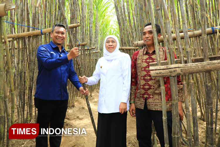 Gubernur-Khofifah-bersama-SGN-a.jpg