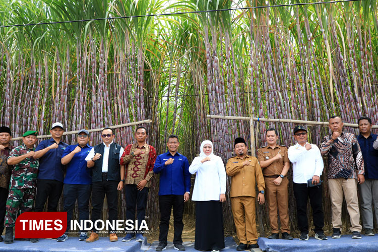 Gubernur Khofifah Luncurkan KUR Khusus Petani Tebu Jatim, Percepat Swasembada Gula Nasional