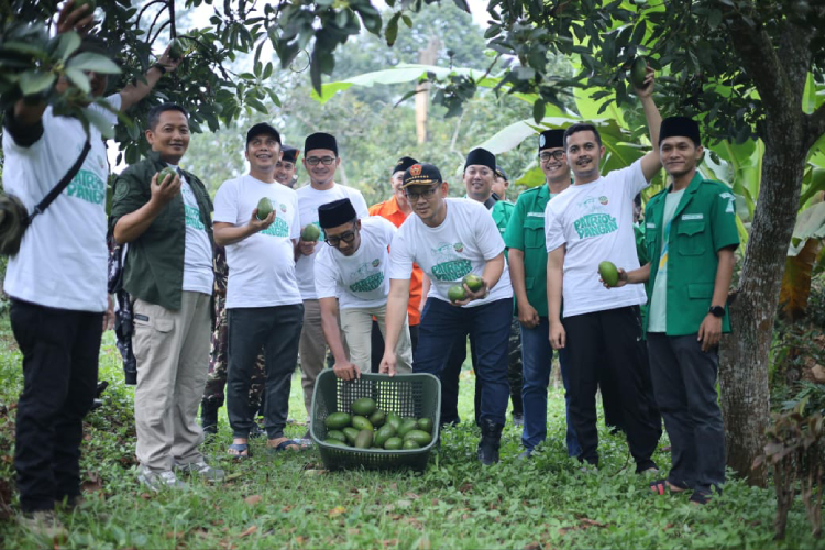 Pecah Telor, GP Ansor Jatim Awali Panen Komoditas Unggulan