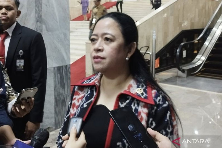 Ketua DPR RI Puan Maharani di Kompleks Parlemen, Jakarta, Kamis (30/1/2024). (ANTARA/Bagus Ahmad Rizaldi)