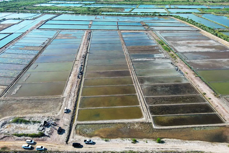 NTB Jadi Calon Sentra Produksi Garam Nasional, KKP Siapkan Strategi Swasembada Garam 2027