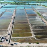 NTB Jadi Calon Sentra Produksi Garam Nasional, KKP Siapkan Strategi Swasembada Garam 2027