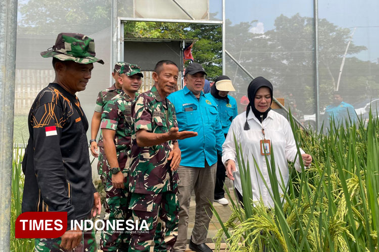 Kepala-LLDIKTI-Wilayah-VII-Prof-Dr-Dyah-Sawitri-a.jpg