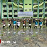 Wujudkan Swasembada Pangan, Unisla dan Kodim 0812 Lamongan Tanam PMJ 01