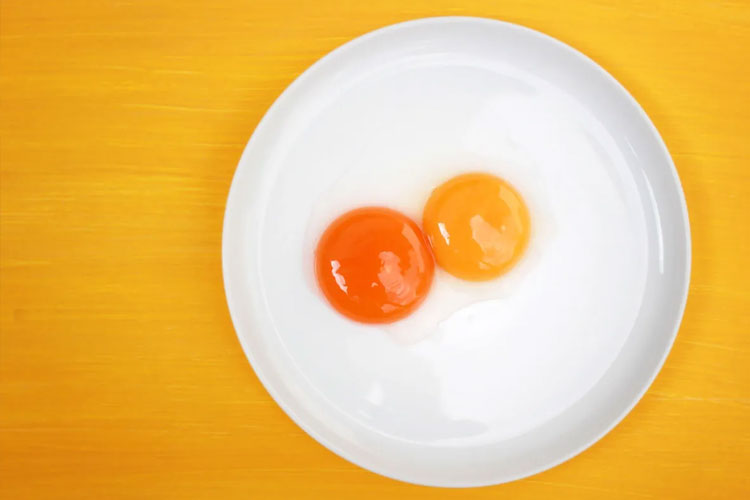 Warna kuning telur bisa sangat bervarias. Dari kuning pucat hingga oranye tua.