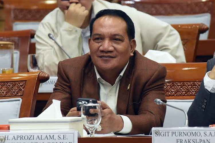 Anggota Komisi VIII DPR Aprozi Alam. (Foto: Dok: DPR RI)