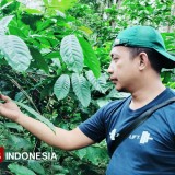 Perkuat Ketahanan Ekonomi, Ketua DPRD Pacitan Ajak Milenial Tak Malu Bertani
