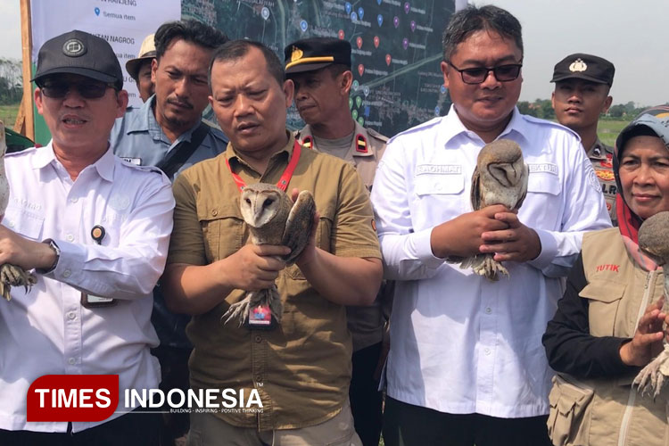Kementan kirim 1.000 burung hantu untuk bantu petani Majalengka. (Foto: Diskominfo Majalengka for TIMES Indonesia)