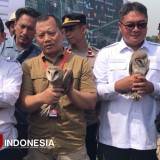 Atasi Hama Tikus, Prabowo Kirim 1.000 Burung Hantu untuk Bantu Petani Majalengka