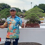Ajang Giri Kedaton Bonsai di Gresik Resmi Dibuka, 1.001 Bonsai Tampil Mempesona